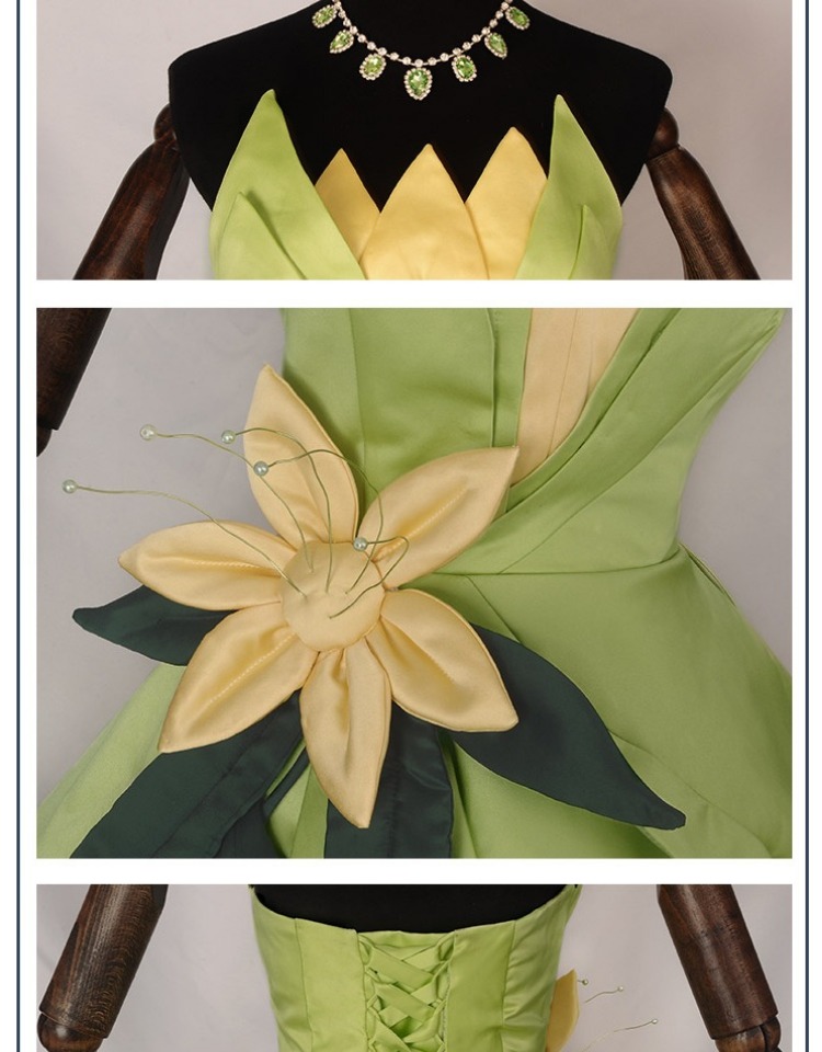 Princess Tiana Dress Cosplay C - Tech Accessories For Men review and price