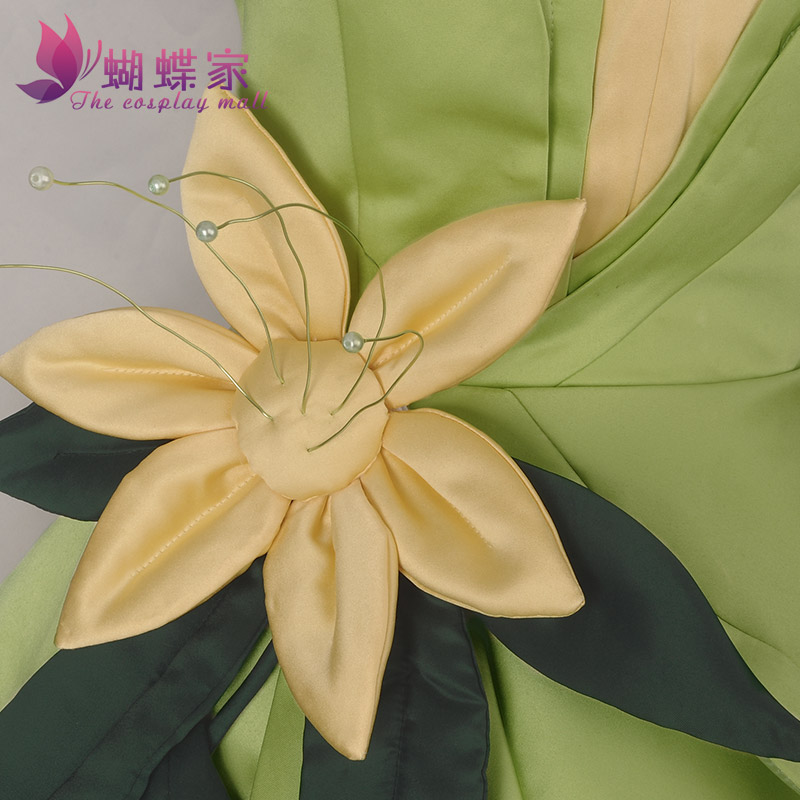 Princess Tiana Dress Cosplay C - Tech Accessories For Men review and price